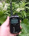 ALINCO Alinco Dj-Fx446 Pmr446 New Ultra Compact License Free 2 Way Handheld Radio